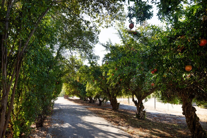 More Photos Of 9486 E Lincoln Ave, Del Rey Specialty For Sale