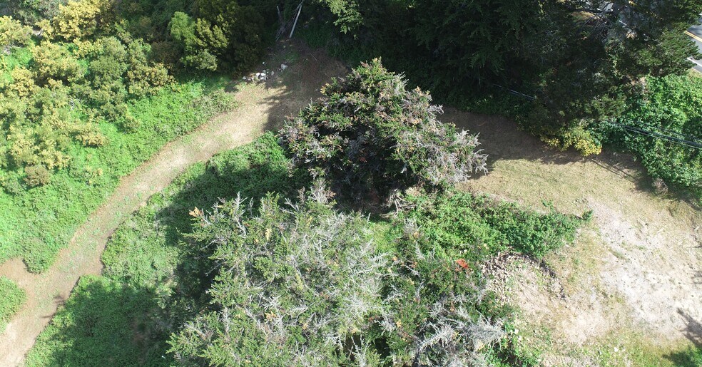 More Photos Of HWY 1, Carmel Highlands Land For Sale