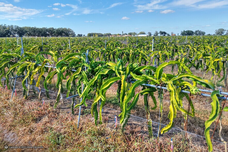 More Photos Of 6018 NW County Road 661A, Arcadia Land For Sale