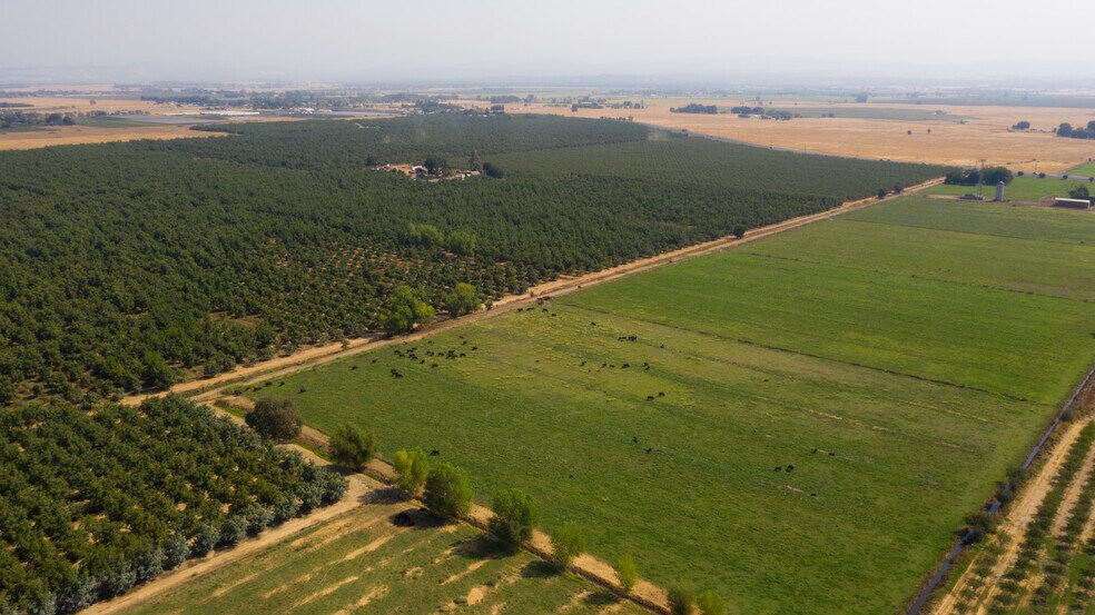 More Photos Of 2099 Hwy 70, Biggs Land For Sale