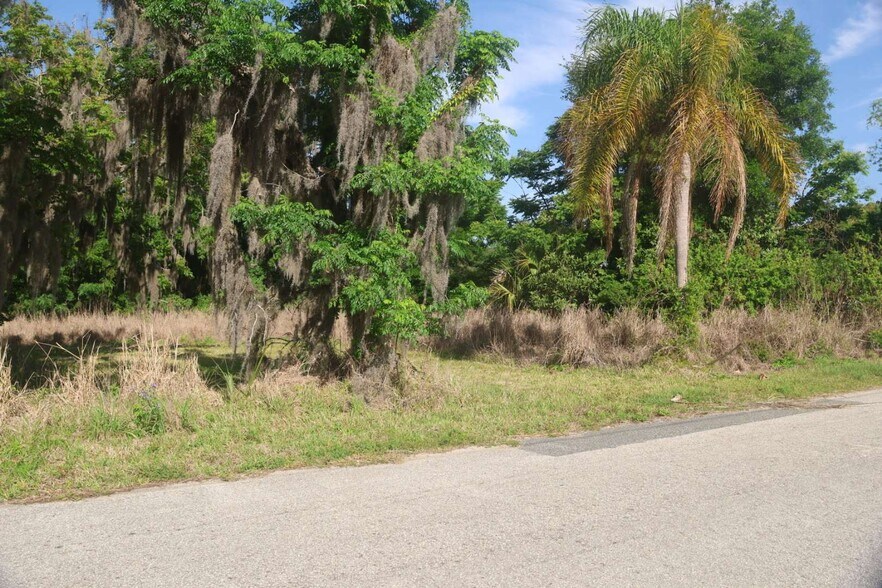 More Photos Of 8834 County Road 48 Rd, Yalaha Land For Sale