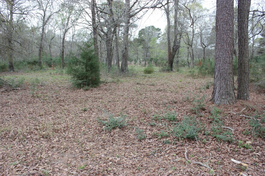 More Photos Of 16046 Honea Rd W, Montgomery Land For Sale