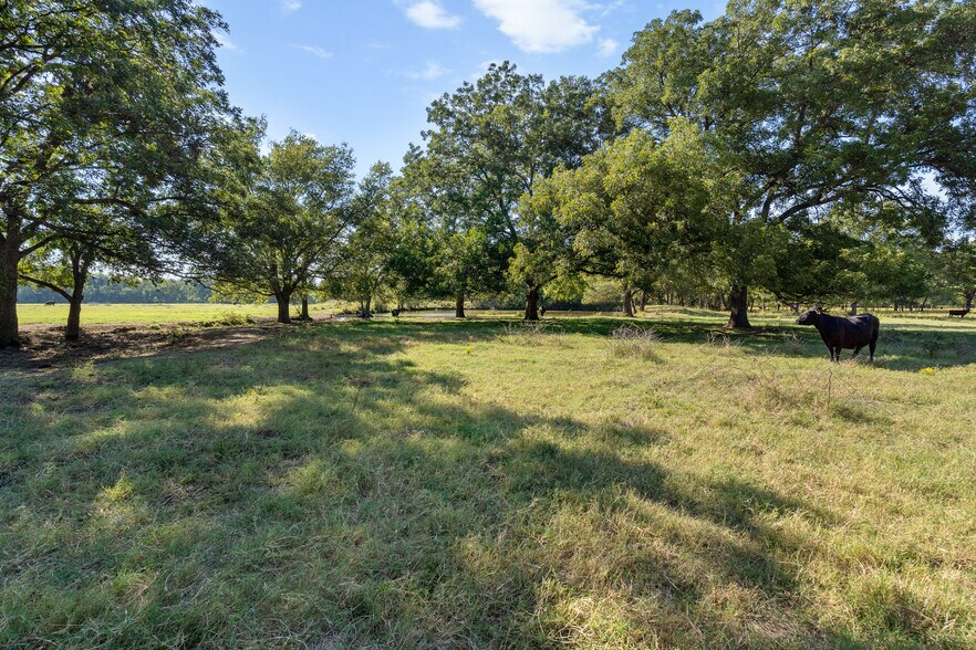 More Photos Of 4480 Memorial Rd, Lone Grove Land For Sale