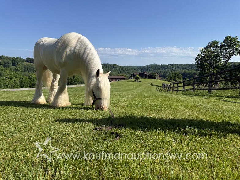 More Photos Of 290 Stonecoal rd, Horner Land For Sale