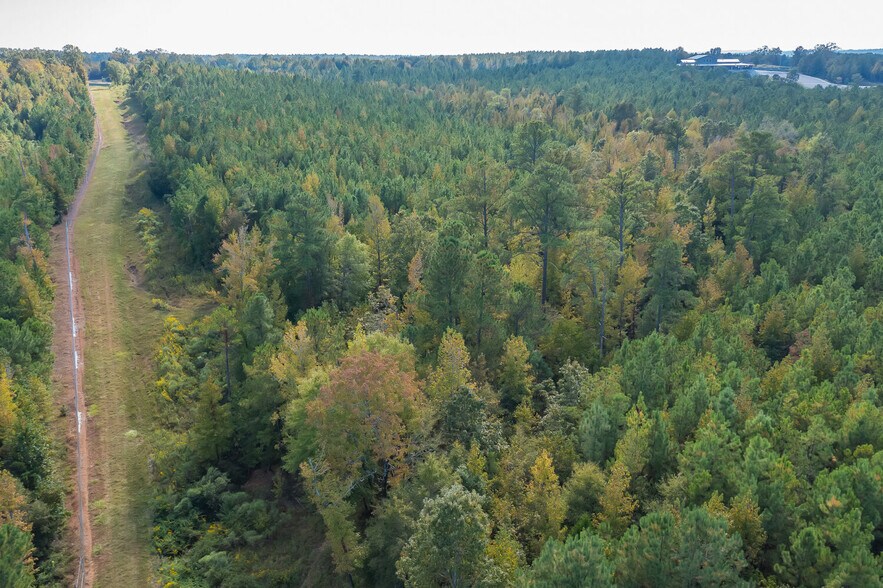 More Photos Of 18618 Hwy 43, Linden Land For Sale