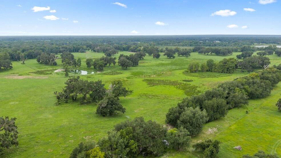 More Photos Of CR 774, Webster Land For Sale