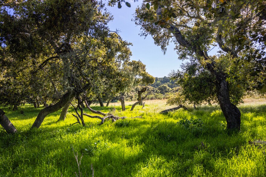 More Photos Of 7855 Old Careaga Ranch Rd, Santa Maria Land For Sale