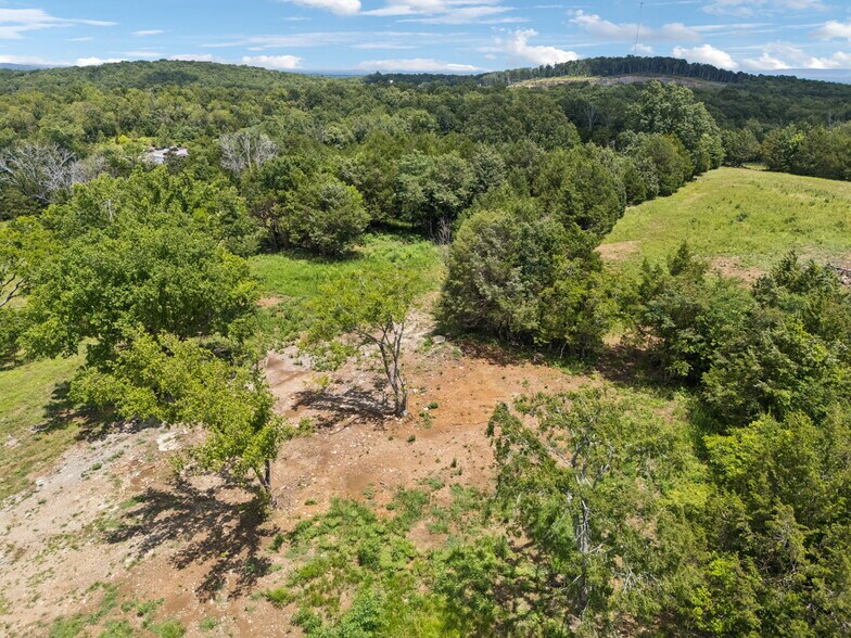 More Photos Of 7665 Shelbyville Pike, Christiana Land For Sale