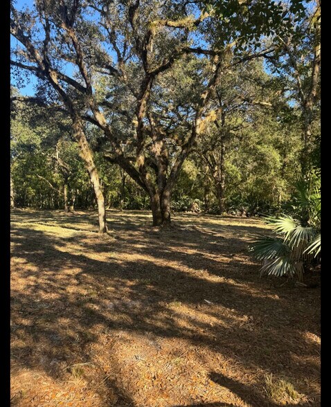 More Photos Of South Co Road 13, Orlando Land For Sale