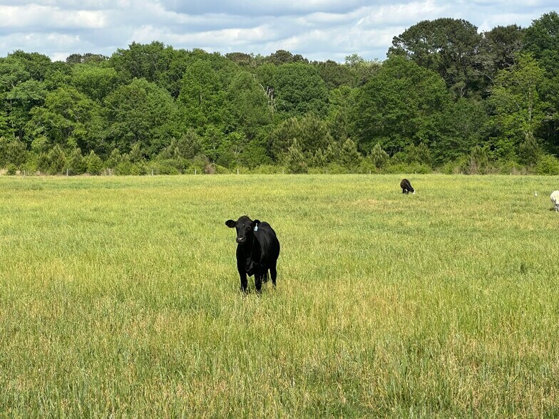 More Photos Of Millside Road, Laurel Hill Land For Sale