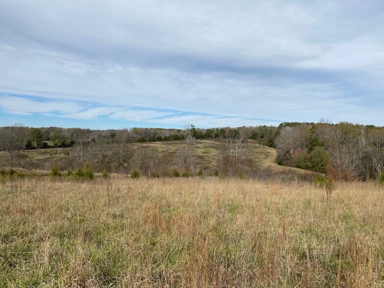 More Photos Of 1486 Martin Road, Ware Shoals Land For Sale