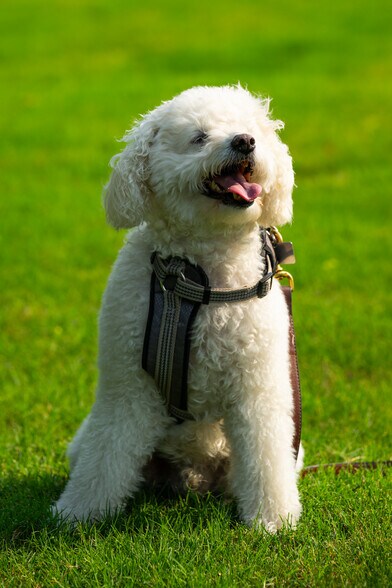 More Photos Of 2209 S First St, Austin Apartments For Sale