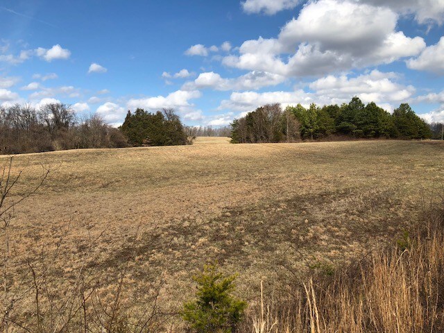 Primary Photo Of Brockman Park Drive, West & East Commerce St, Amherst Land For Sale