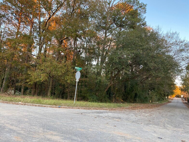 More Photos Of 3276 Rufus Henderson Dr, Scottdale Land For Sale