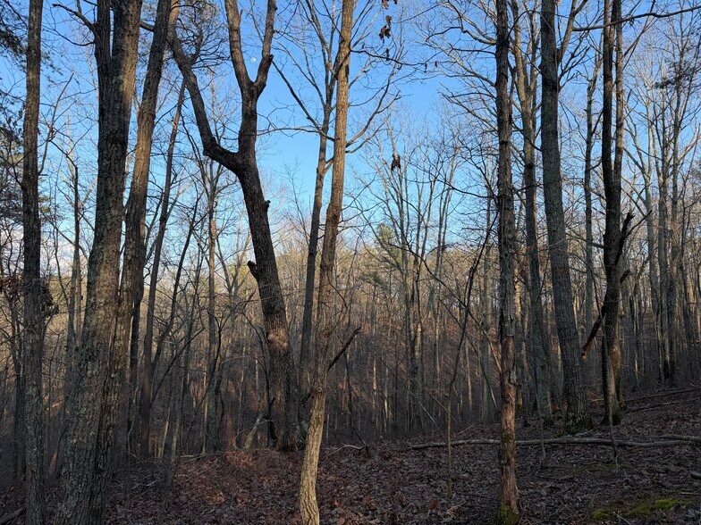 More Photos Of 260 Arnold Rd NE, Fairmount Land For Sale