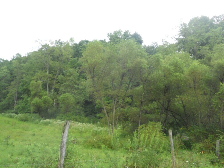 More Photos Of 595 Wades Run Rd, Morgantown Land For Sale