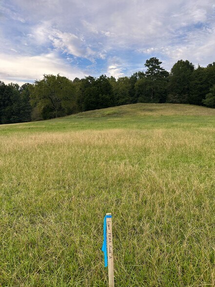 More Photos Of 1195 Grady Rd, Rockmart Land For Sale
