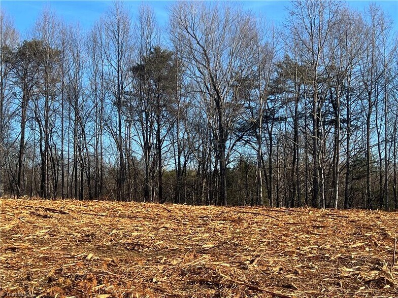 More Photos Of 4432 W Pine St, Mount Airy Land For Sale