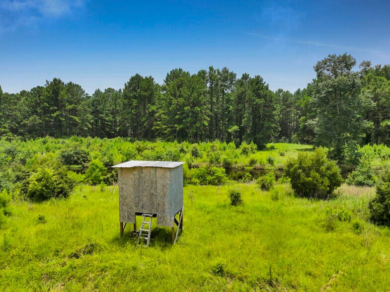 More Photos Of 386 County Road 784, Buna Land For Sale