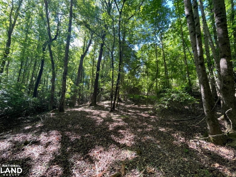 More Photos Of 0 Gibbs Road, Wellford Land For Sale