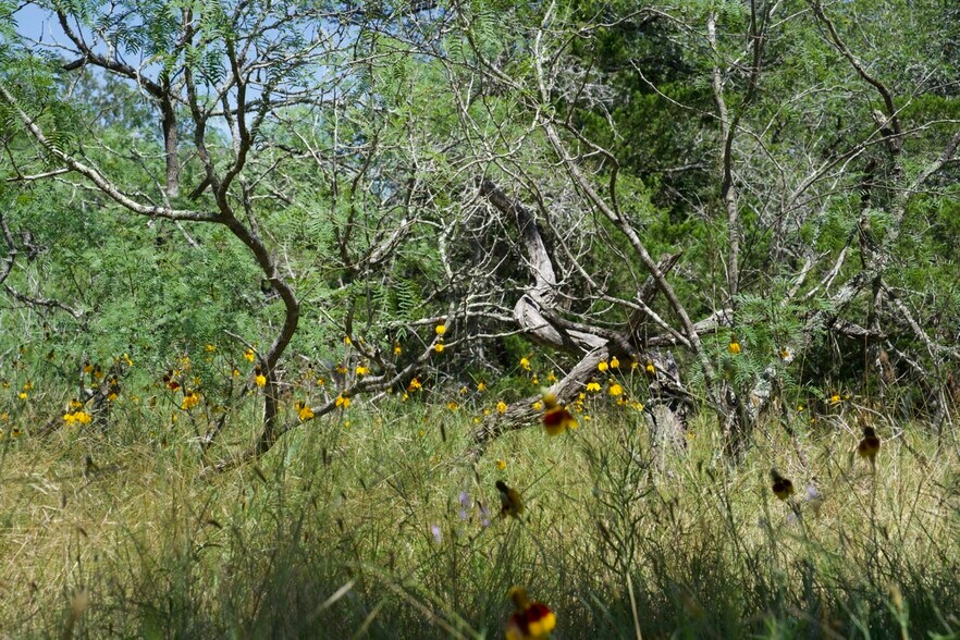 More Photos Of 00 Taylorsville Rd, Red Rock Land For Sale