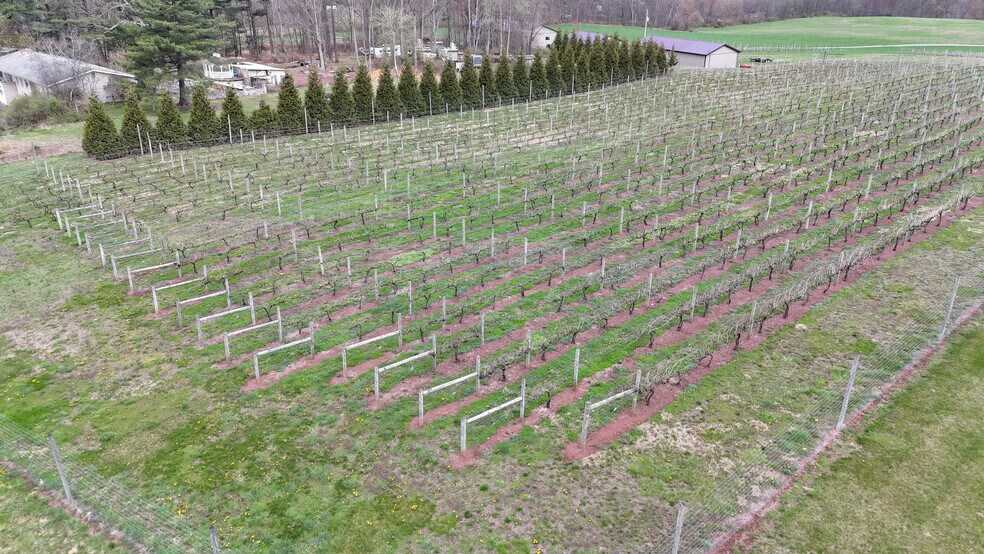 More Photos Of 596 Harman Rd, Halifax Winery Vineyard For Sale