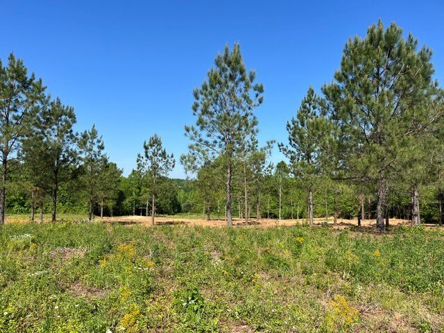 More Photos Of 2200 Oweda Dr, Conover Land For Sale