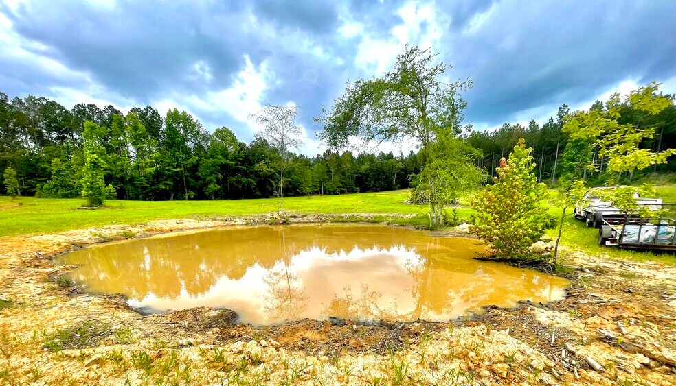 More Photos Of 92 Lillian Strong rd, Carlton Land For Sale