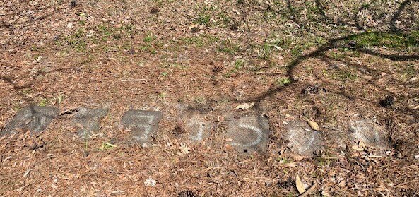 More Photos Of 703 Davidson St, Thomasville Apartments For Sale