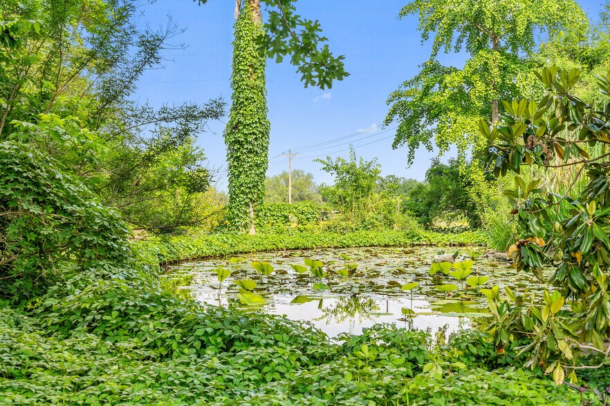 More Photos Of 534 County Road 407, Spicewood Land For Sale