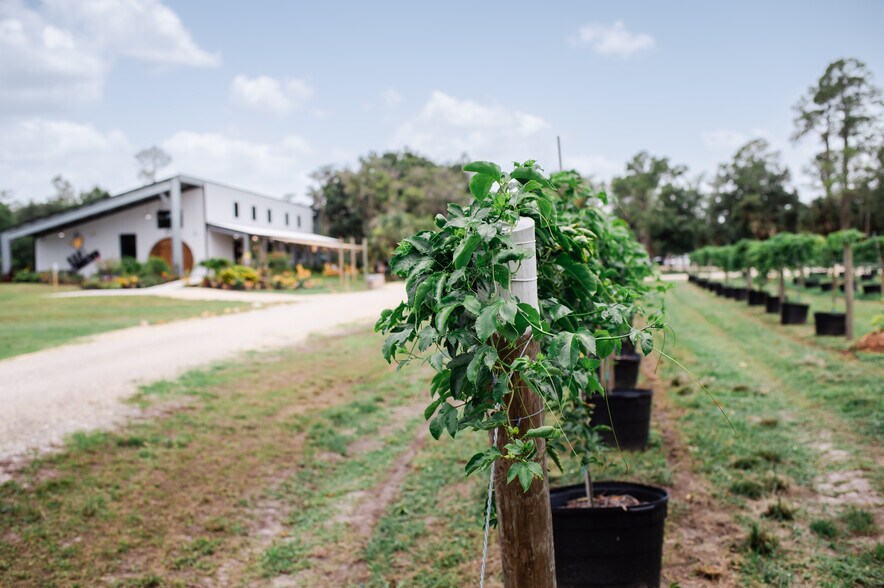 More Photos Of 20948 Corkscrew Rd, Estero Winery Vineyard For Sale