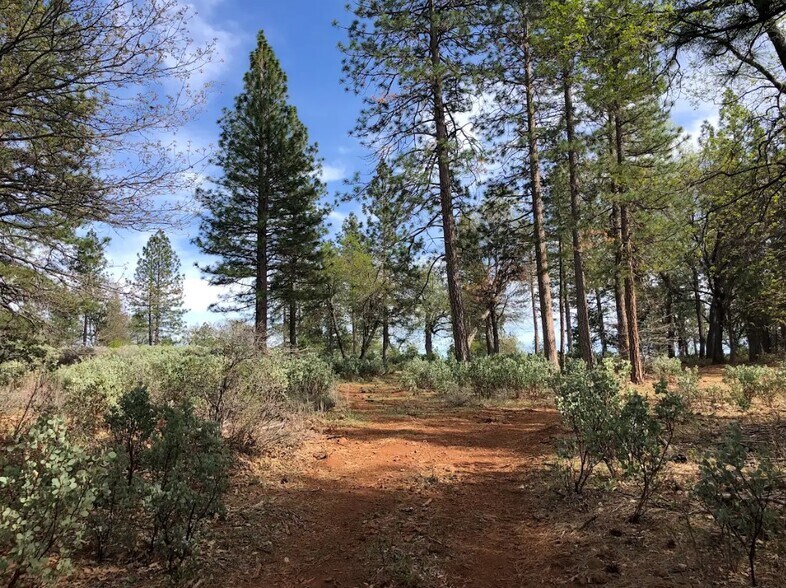 More Photos Of 1989 Tract Shingletown Ridge Rd, Shingletown Land For Sale