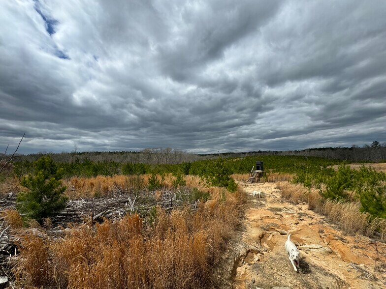 More Photos Of 10831 Highway 9, Kellyton Land For Sale