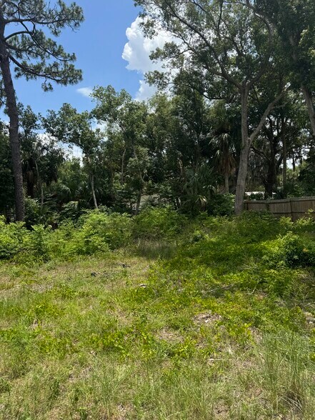More Photos Of 16220 Leonard St, Umatilla Land For Sale