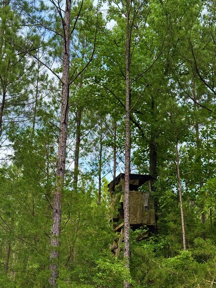 More Photos Of 00 Kennedy Rd, Winnsboro Land For Sale