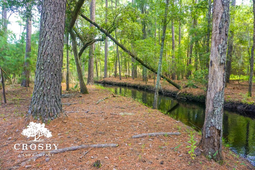 More Photos Of 3009 Lowcountry Drive, Ridgeland Land For Sale