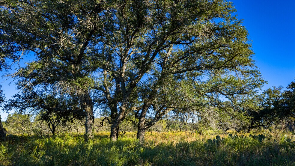 More Photos Of 7499 US 87 hwy, Mason Land For Sale