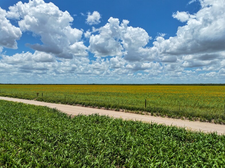 More Photos Of Las Brisas Road, Rio Grande City Land For Sale