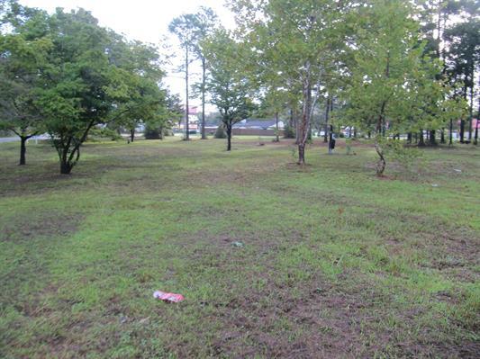 More Photos Of 49 Ivan Church Rd, Crawfordville Land For Sale