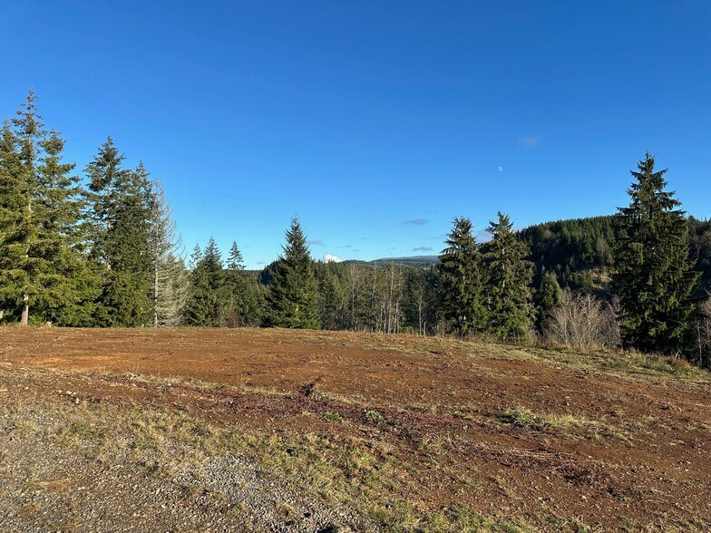 More Photos Of 27507 Nelson rd, Sandy Land For Sale