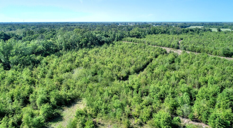 More Photos Of 3425 Sylvester Hwy., Albany Land For Sale