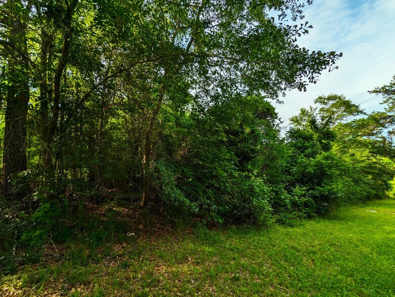 More Photos Of 2725 White Rd NE, Conyers Land For Sale
