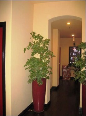 More Photos Of 115 N Hollywood Way, Burbank Loft Creative Space For Lease