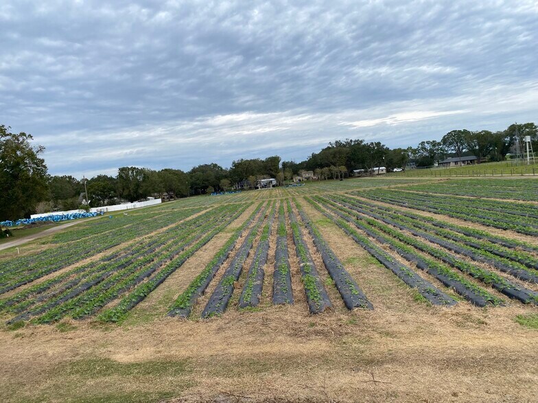 More Photos Of , Plant City Land For Sale