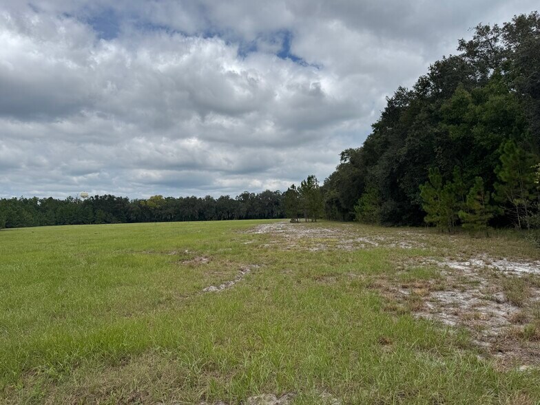 More Photos Of 7707 Holden Park Rd, Hawthorne Land For Sale