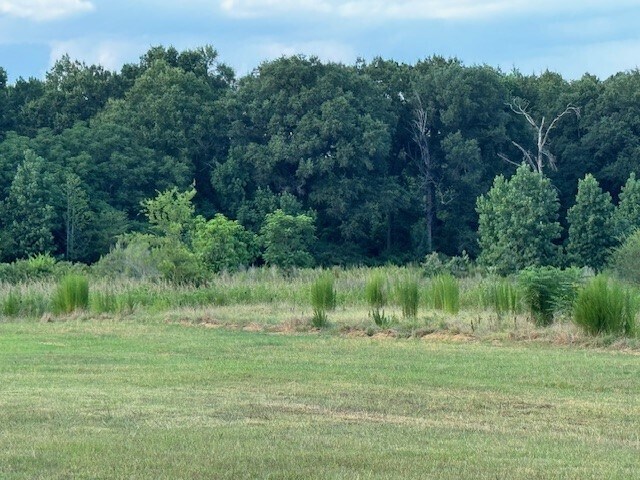 More Photos Of 136 Hicks Dr, Perry Land For Sale