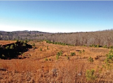 More Photos Of 435 Upper Salem Rd, Jasper Land For Sale