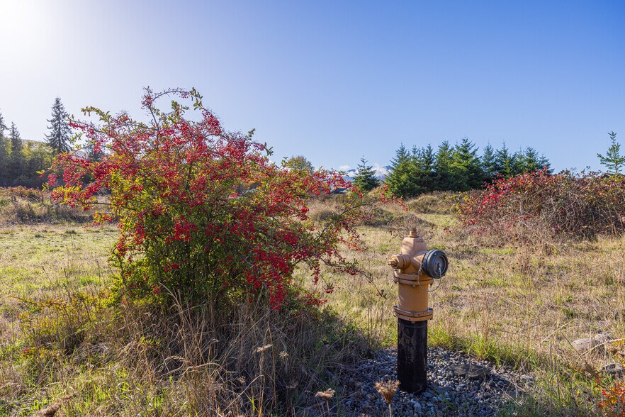 More Photos Of 190 Maliandra dr, Sequim Land For Sale