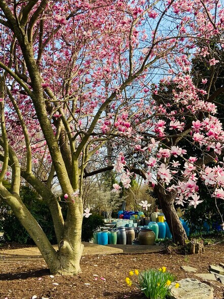 More Photos Of 5309 S Seminole Trl, Madison Storefront For Sale