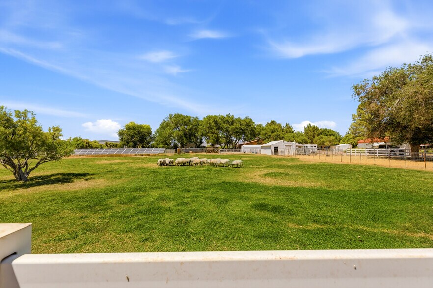 More Photos Of Cactus Rd & Brookmore Rd, Baker Land For Sale